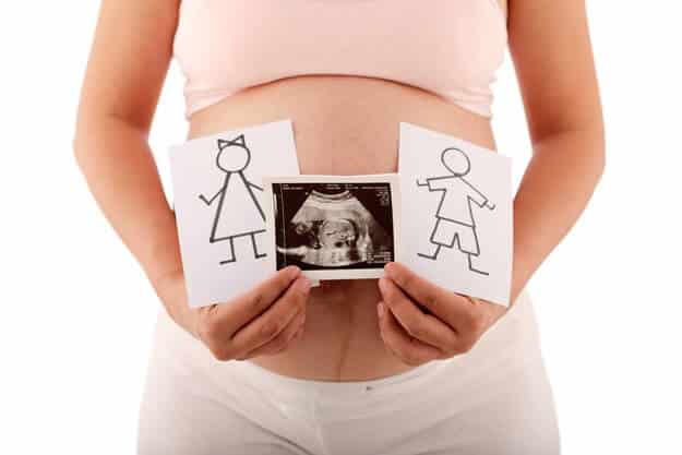 Finding Out the Baby’s Gender | Overview of Pregnancy Trimesters