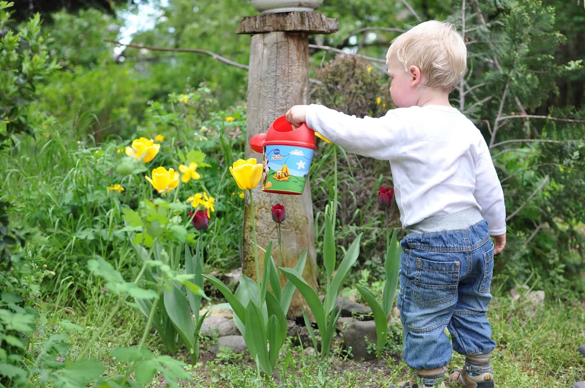 Child watering flowers in the garden