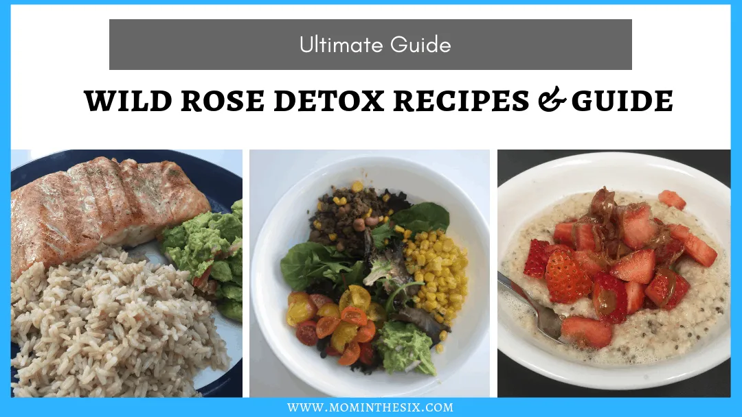 Wild Rose Detox Recipes and Ultimate Guide