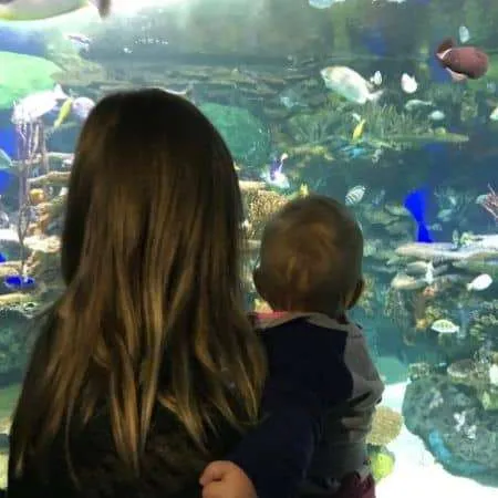 Places to take 1 year olds. 0Mom looking at an aquarium with 1 year old. A fun indoor activity